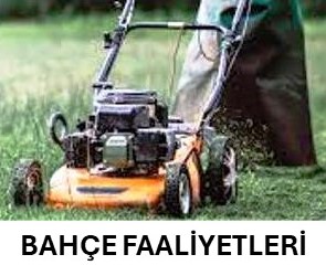 Bahçeden görüntüler