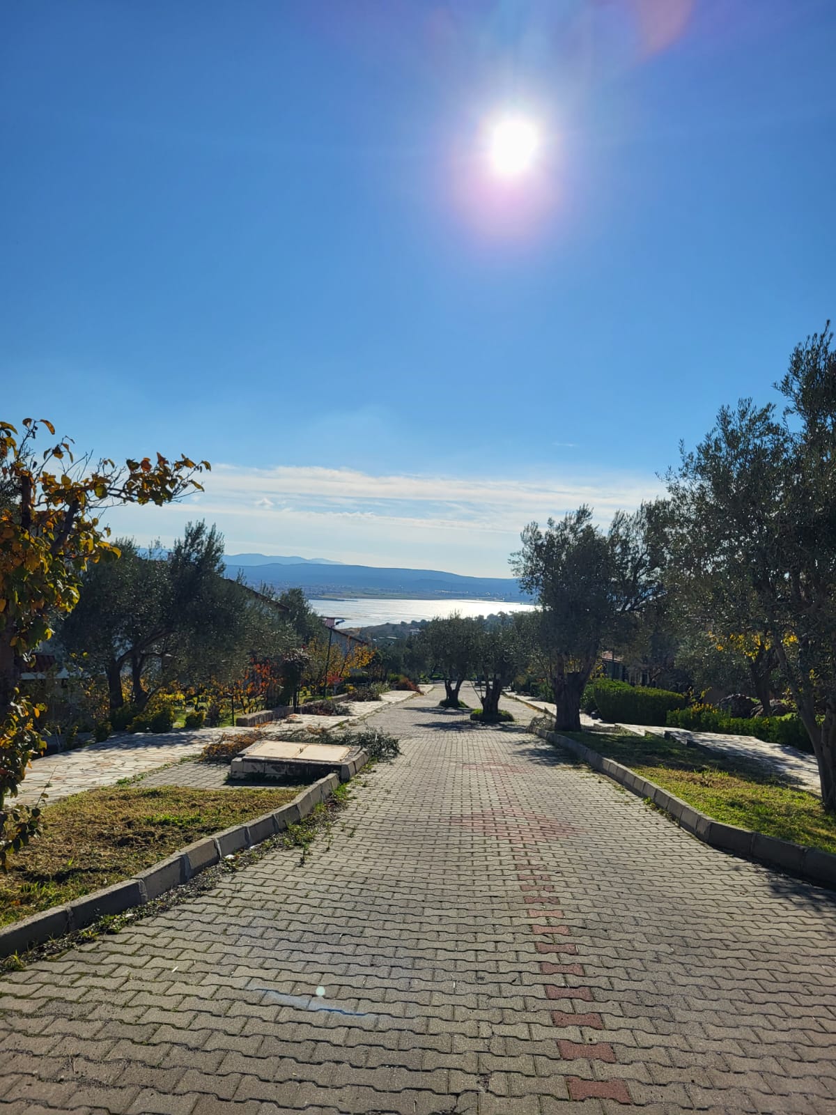 Siteden güncel görüntü 003