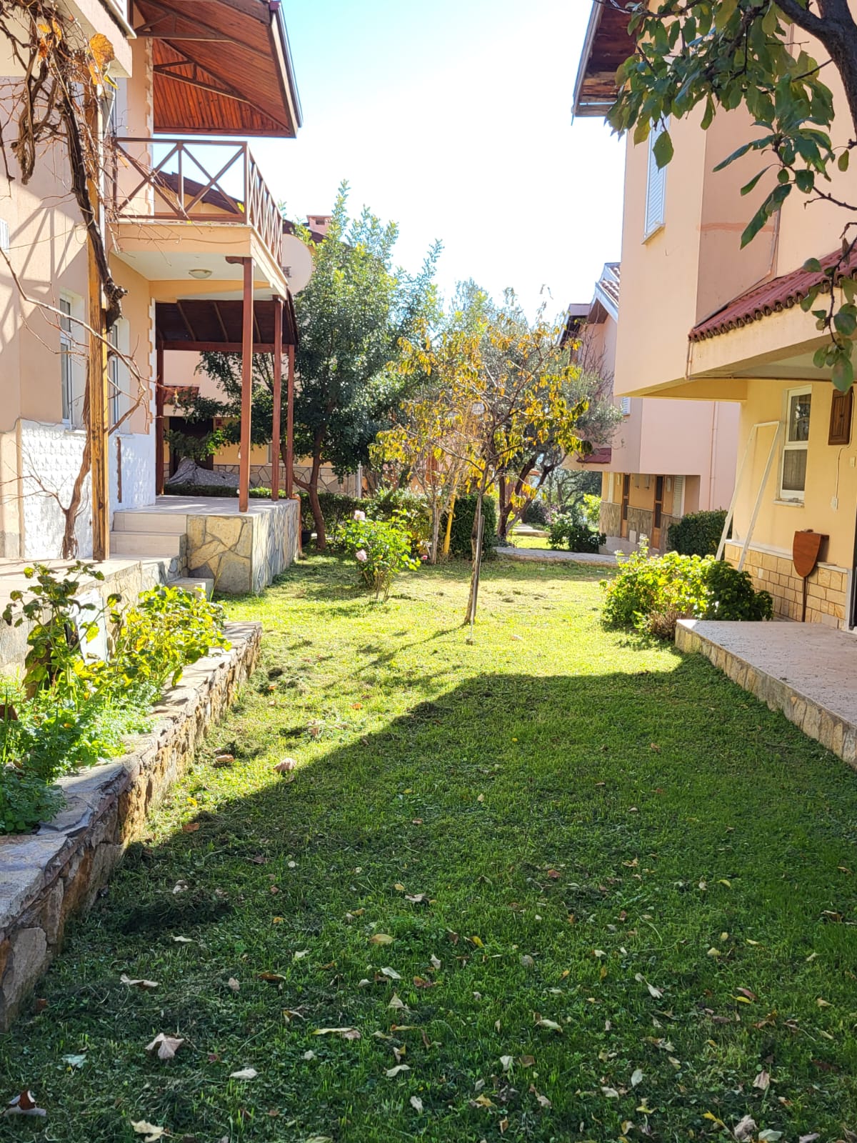 Siteden güncel görüntü 010