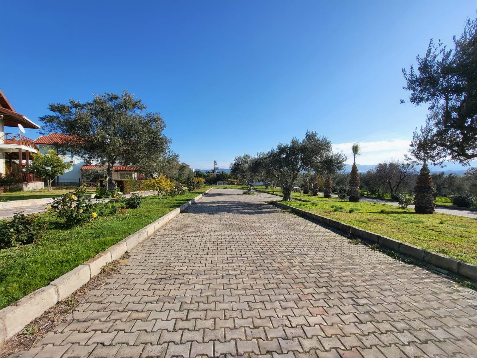 Siteden güncel görüntü 034