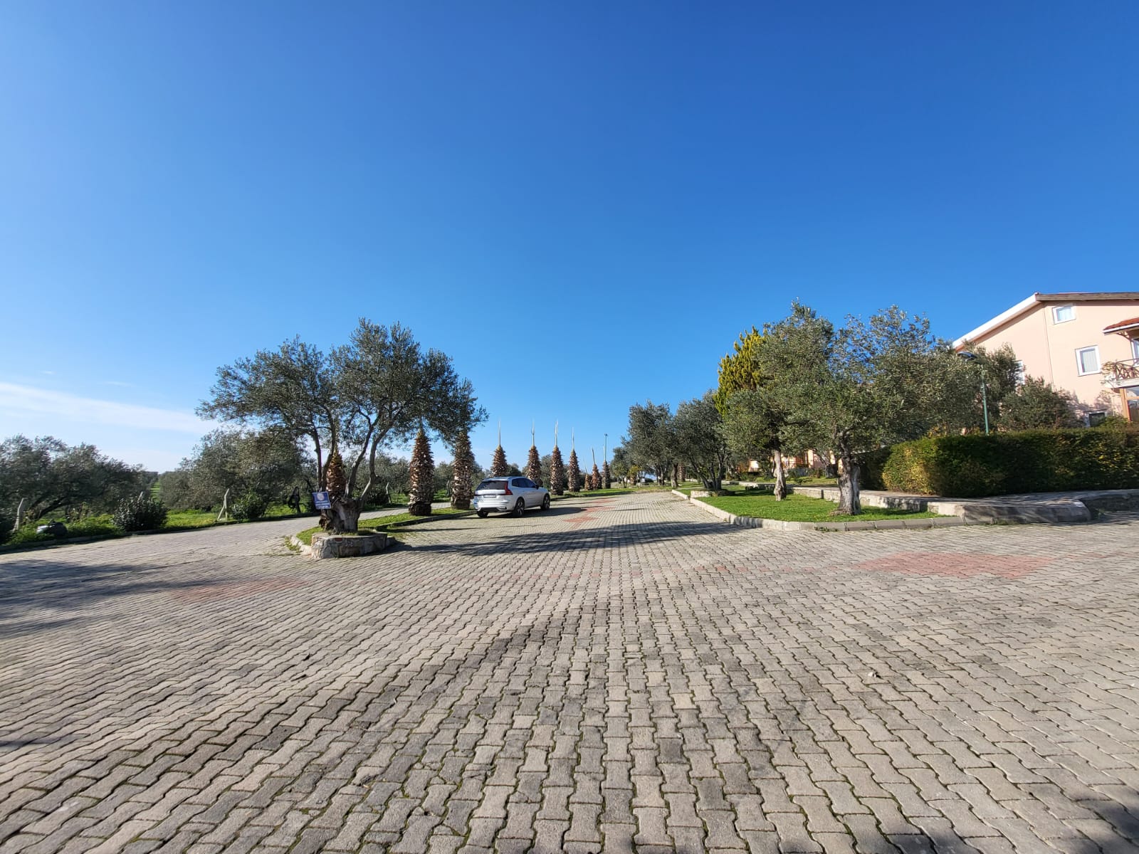 Siteden güncel görüntü 035